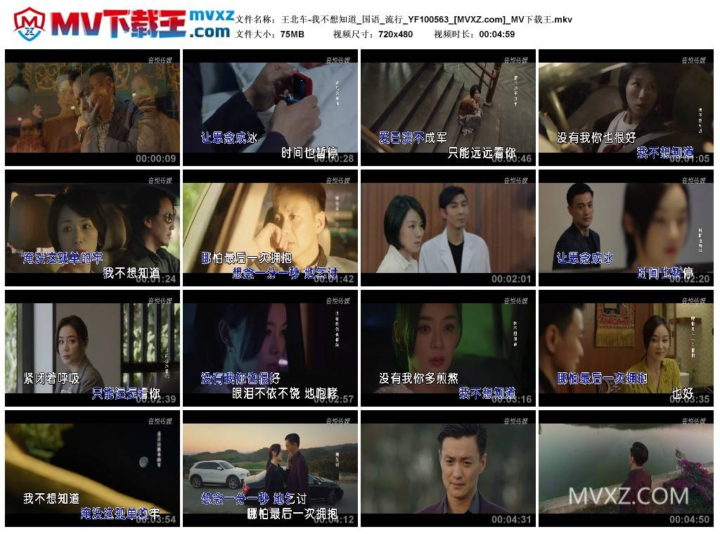 王北车-我不想知道_国语_流行_YF100563